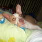 descansando Xd